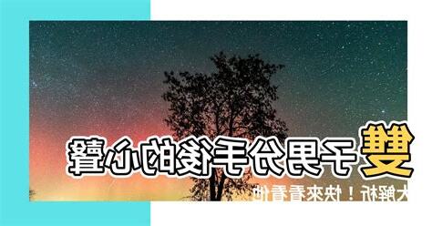 雙子男 分手